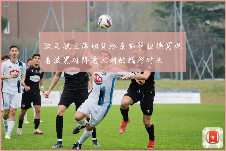 欧足联主席切费林亲临萨拉热窝观看波黑对阵意大利的精彩对决